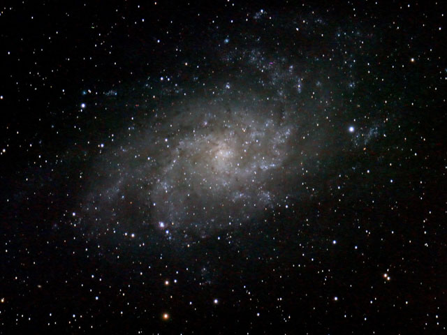 M33