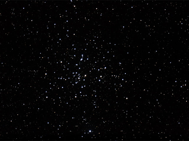 M41