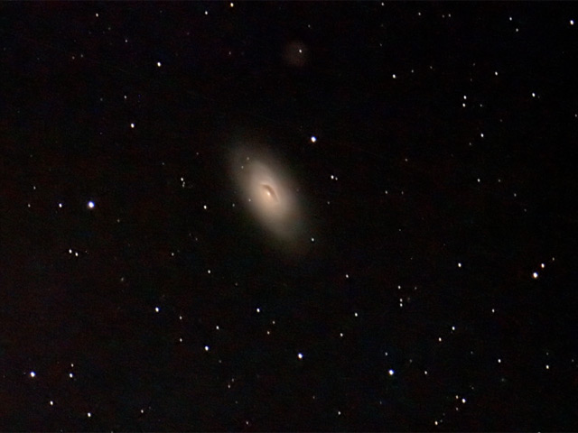 M64
