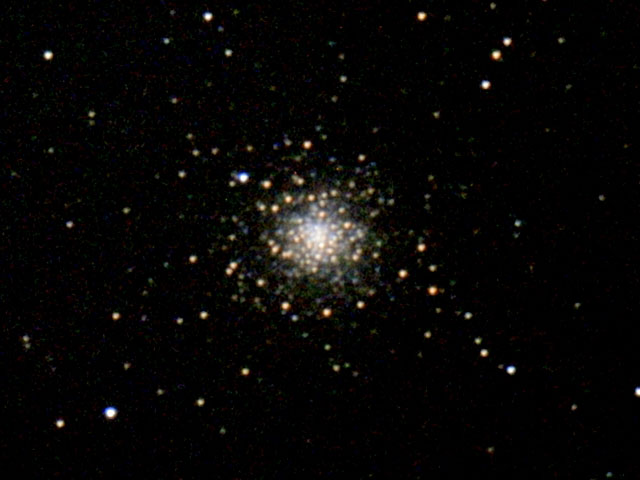 M79