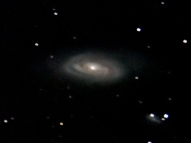 M88
