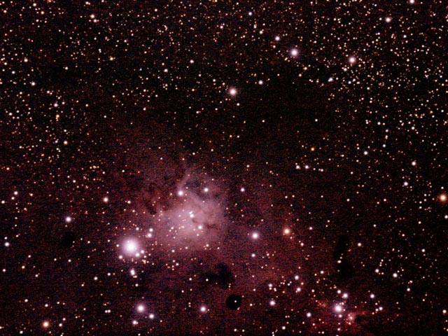 NGC2264